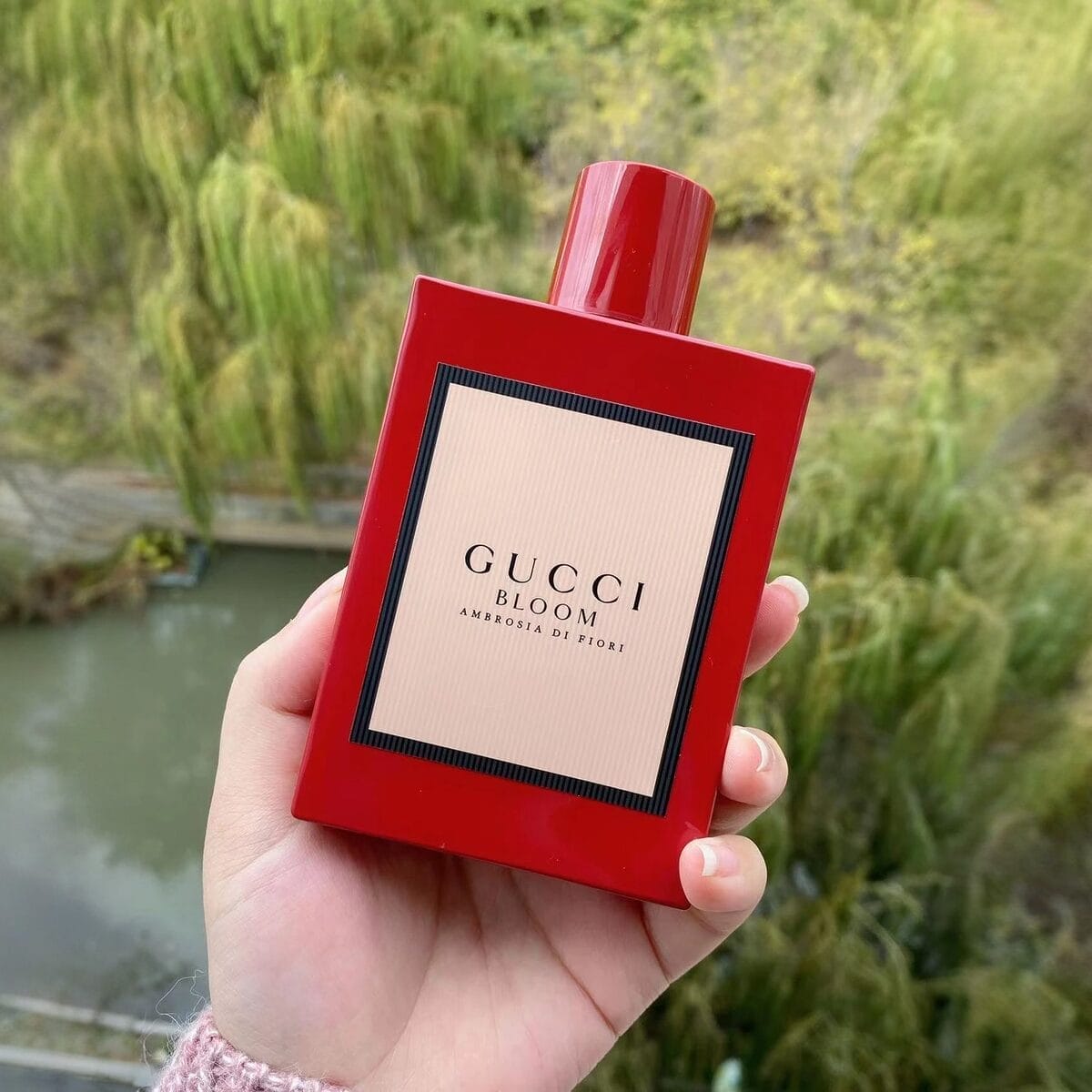 Gucci Bloom Ambrosia di Fiori Eau de Parfum - 100 ml (3.3 oz) - Adorn By  Destiny